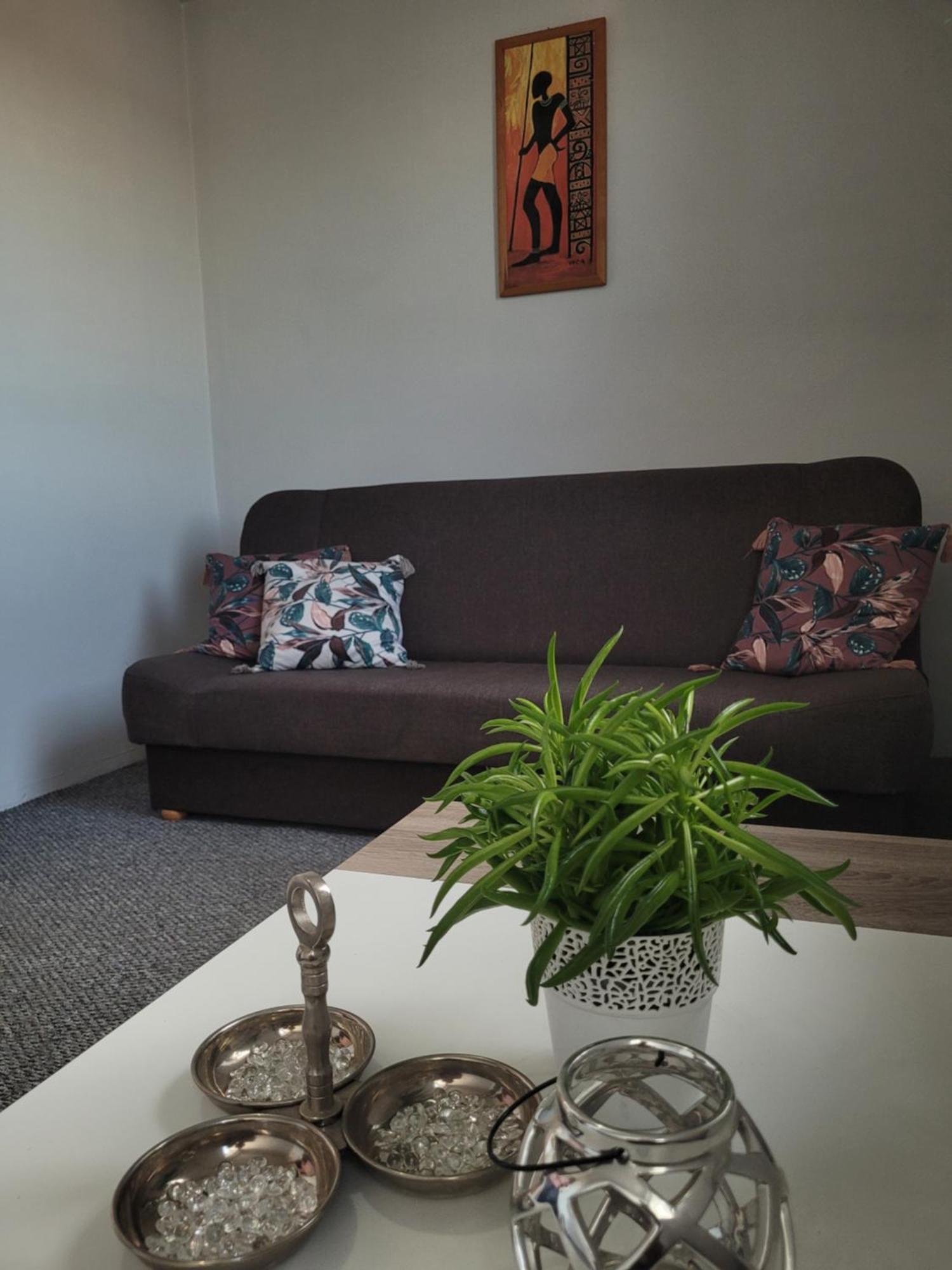 Apartament Zdunska Włocławek 외부 사진