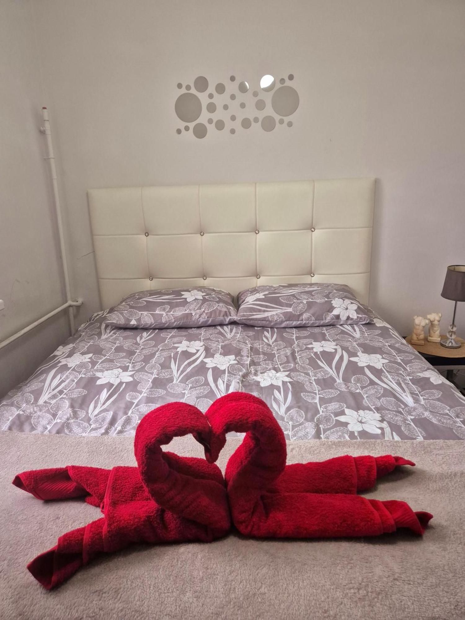 Apartament Zdunska Włocławek 외부 사진